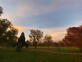 Park & Sky