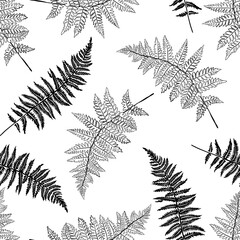 Vector botanical illustration of fern leaf. Isolated outline modern drawing of tropical plant. Set of exotic fern leaves silhouettes. Simple Linear  minimalist boho pattern. - 395051550