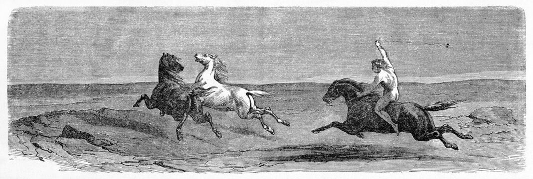naked horseback man running following two horses black and white on a horizontal arrangement. Ancient grey tone etching style art by Trichon, Le Tour du Monde, Paris, 1861