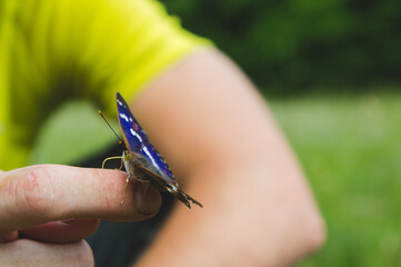 Butterflie on a hand of a human © Eva
