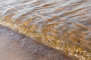 A part of the coast of the Baltic Sea