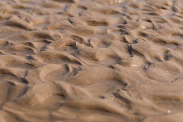 Wet sand on a beach