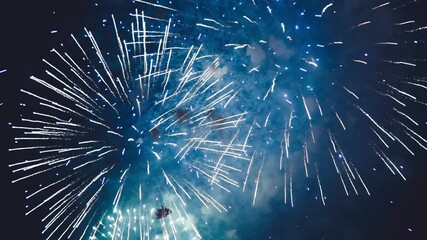 Beautiful fireworks symphony on a summer night, slow motion
