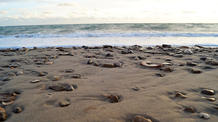 beach and sea