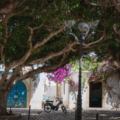 Mofa steht unter einem Baum vor einem orientalischen Gebäude