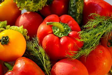 Background from juicy ripe and tasty vegetables. Yellow and red tomatoes, red bell peppers, arugula, lettuce, cucumbers.