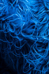 Obraz premium Blue marine like fur cloth