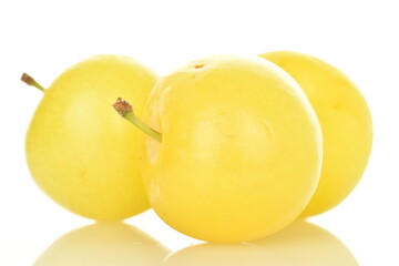 Several juicy bright yellow plums, close-up, on a white background.