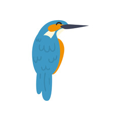 cute bird blue animal on white background