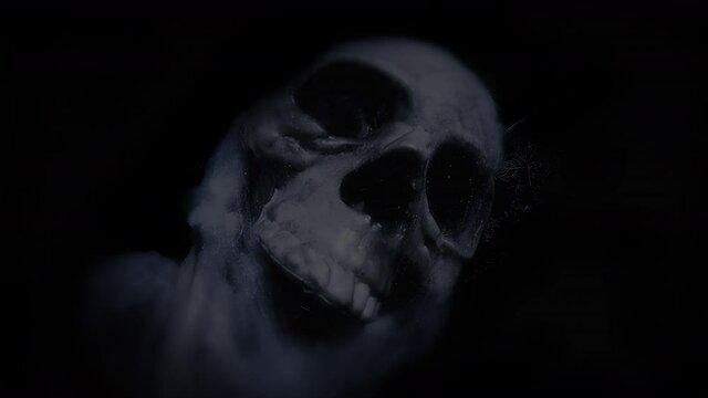 A scary human skull, covered with spider webs and other nasty stuff, appearing under a fast flickering light creating ominous shapes.

