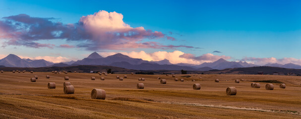 Panoramic View of Bales of Hay in a farm field. Dramatic Sunset Summer Sky. Taken near Pincher Creek, Alberta, Canada.