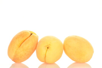 Fototapeta na wymiar ripe pineapple apricots, close-up, on a white background