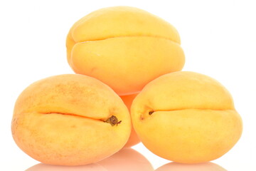 Naklejka na ściany i meble ripe pineapple apricots, close-up, on a white background