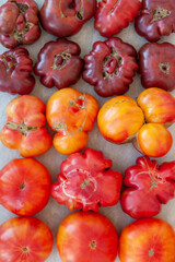 Texture of fresh organic tomatoes. Flat lay view of tomatoes bottoms in rows. Different tomato cultivars. Own vegetables.