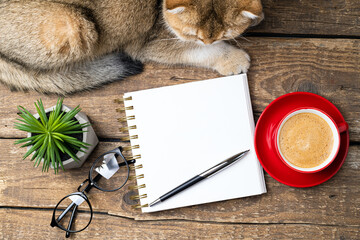 White blank notebook, coffee cup, plant, eyeglasses, cute cat on desk of home office flat lay....