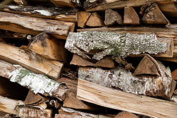 Texture of birch wood, pile of wood logs