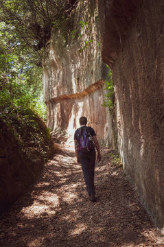 Vie cave are old roads carved in stone by Etruscan civilization centuries ago to connect cities like Sovana, Sorano, Pitigliano. Tuscany, Italy