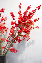 Christmas branch with red berries