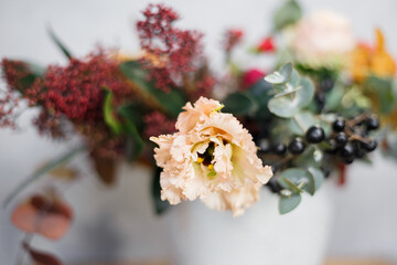 winter composition on a white background