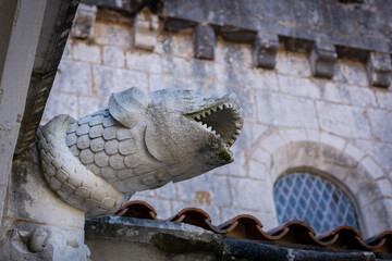 Gargoyle Resembling An Animal With Multiple Characteristics in Alcobaça, Portugal