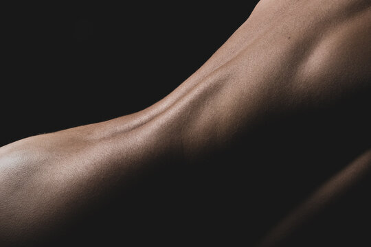 Bodyscape - Female nude body details