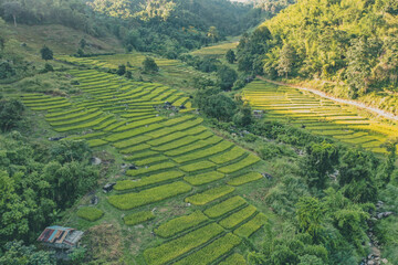Fototapeta na wymiar Aerial view of Nang Lae Nai Rice Terraces in Chiang Rai, Chiang Mai province, Thailand