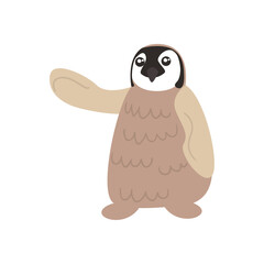 cute penguin animal on white background