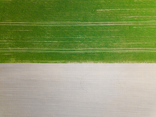 drone shot with fresh green grass in the country side 