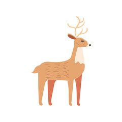 cute reindeer animal on white background