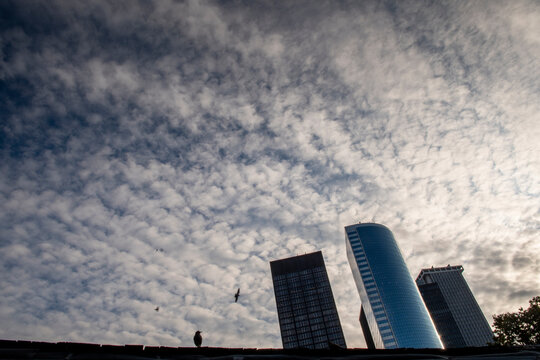 cielo, grattacieli e uccelli in questa immagine di new york - skyline