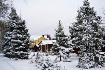 Wooden house under white snow in the village in winter