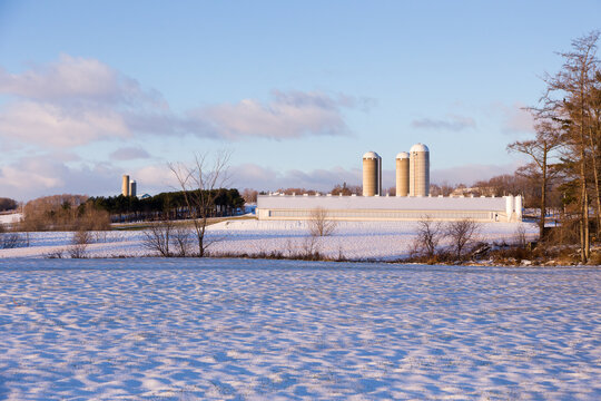 Winter rural landscape with large farm buildings seen in the Bellechasse county during a sunny morning, Saint-Vallier, Quebec, Canada