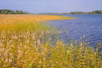 Beautiful landscape with lake in the fall. Vuoksa lake - a picturesque lake in Leningradskaya oblast, Russia