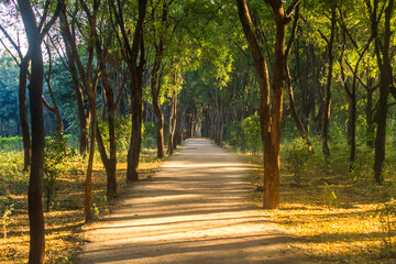 Various views of Punit Van park in Gandhinagar
