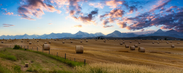 Panoramic View of Bales of Hay in a farm field. Dramatic Sunrise Summer Sky. Taken near Pincher...