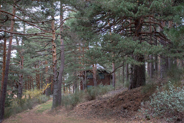 Landscapes and forests of Navacerrada