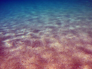 Background of Red sea water surface and sandy bottom