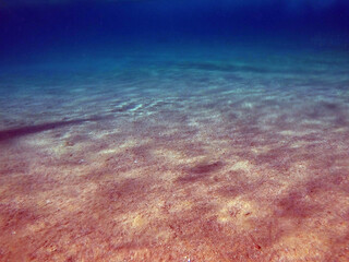 Background of Red sea water surface and sandy bottom