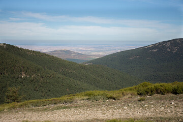 Fototapeta premium Landscapes and forests of Navacerrada