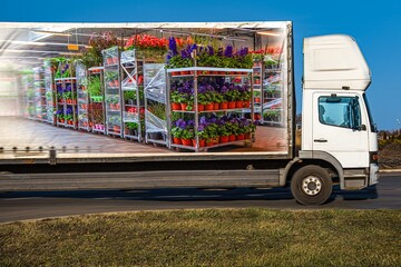truck delivered flowers in pots, transport logistics in Europe