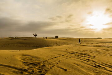 Fototapeta na wymiar Various views of the Sam's sand dunes,