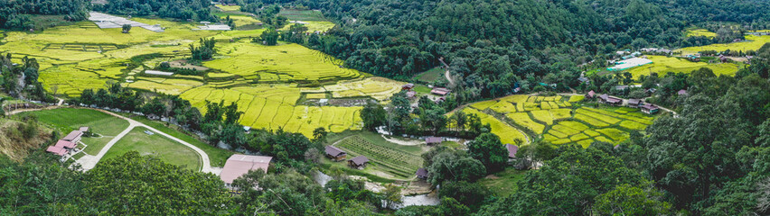 Fototapeta na wymiar Rice Terraces in Doi inthanon national park in chiang Mai province, Thailand