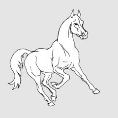 horse, silhouette, sticker, stallion