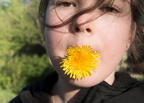 Close-up Portrait Of Teenage Girl With Yellow Dandelion In Mouth