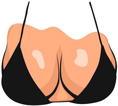 seins nichon nibard poitrine paire dessin