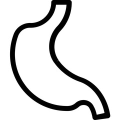 Fototapeta premium Stomach Vector Line Icon 