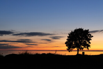 Naklejka na ściany i meble Tree on the lake at sunset