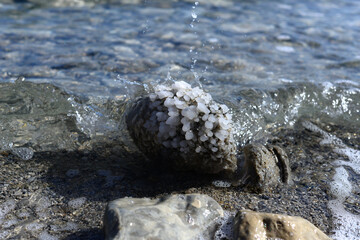 Dead Sea salt natural mineral formation at the Dead Sea	