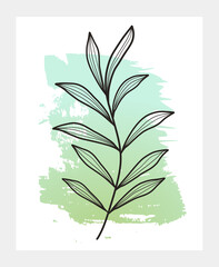 Abstract botanical print on watercolor background