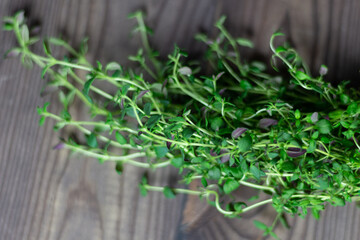 fresh herb thyme on a wooden brown table